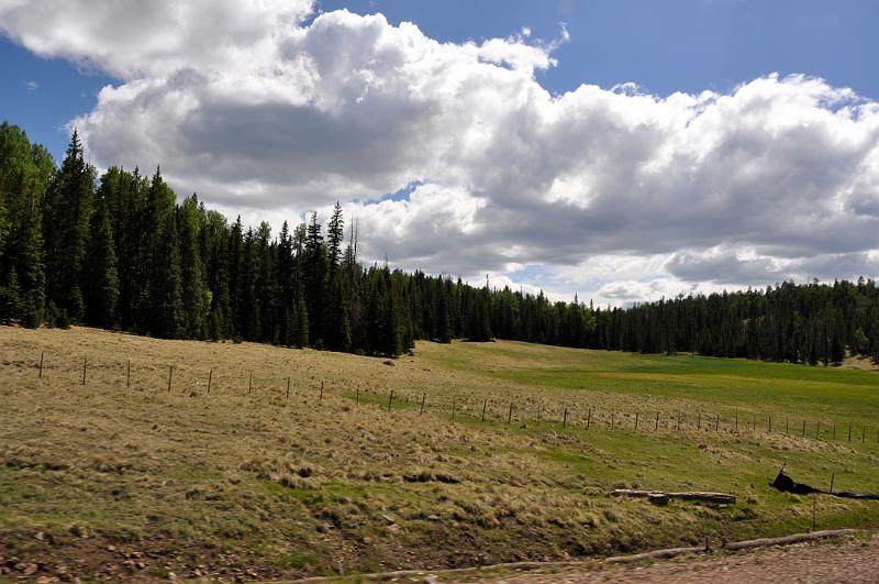 1006111458-Baldy 076.jpg